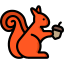 Squirrel icon 64x64