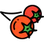 Berries icon 64x64