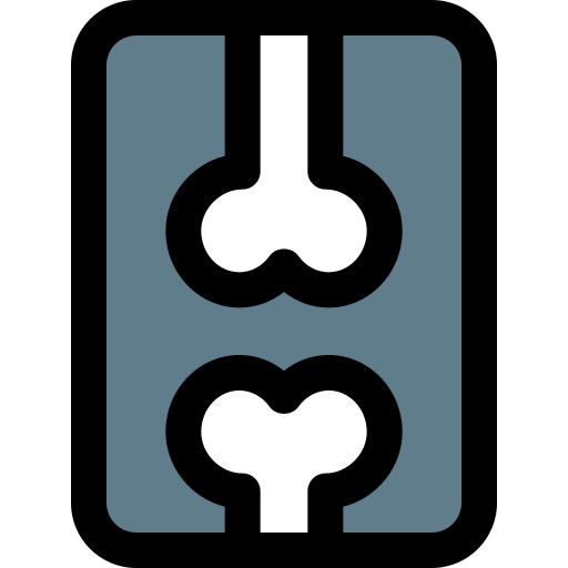 X-ray icon