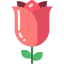 Rose icon 64x64