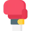 Boxing icon 64x64