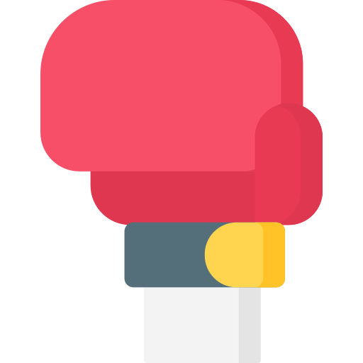 Boxing icon