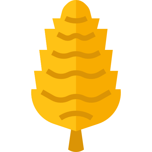 Pine cone icon