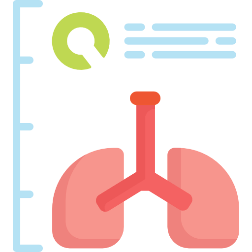 Lungs icon