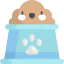 Pet bowl 图标 64x64