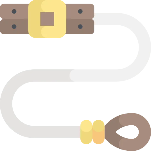 Leash icon