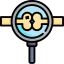 Bone icon 64x64