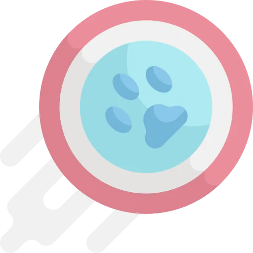 Frisbee icon
