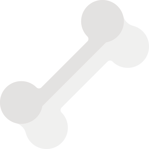 Bone icône