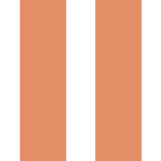 Pause icon