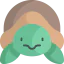 Turtle icon 64x64