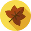 Leaf icon 64x64