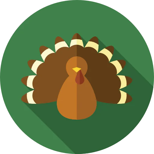 Turkey icon