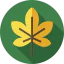 Leaf icon 64x64