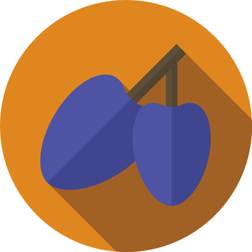 Plum icon
