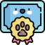 Pedigree icon 64x64