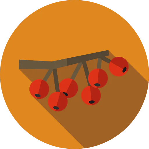 Berries icon