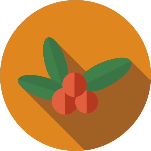 Berry icon