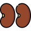 Beans icon 64x64