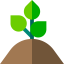 Sprout icon 64x64
