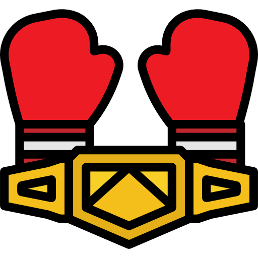 Boxing icon