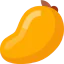 Mango icon 64x64