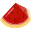 Watermelon icon 64x64