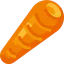 Carrot icon 64x64
