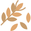 Wheat アイコン 64x64