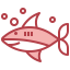 Shark icône 64x64