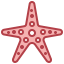 Starfish icône 64x64