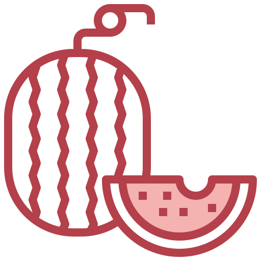 Watermelon icon