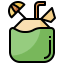 Coconut icon 64x64