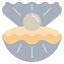 Оболочка иконка 64x64