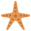 Starfish icon 64x64