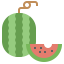 Watermelon icon 64x64