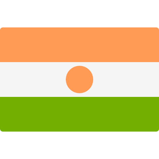 Niger icon