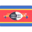 Swaziland icon 64x64