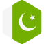 Pakistan icon 64x64