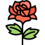 Rose icon 64x64