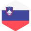 Slovenia icon 64x64