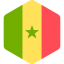 Senegal icon 64x64