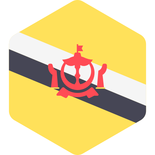 Brunei icon