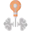 Creativity icon 64x64