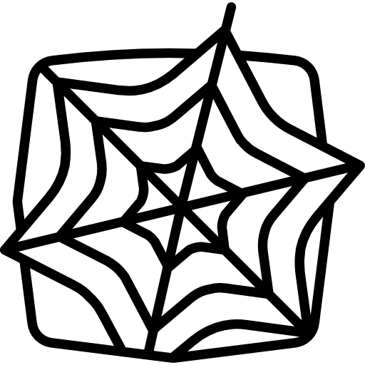 Spider web icon
