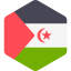 Sahrawi arab democratic republic icon 64x64