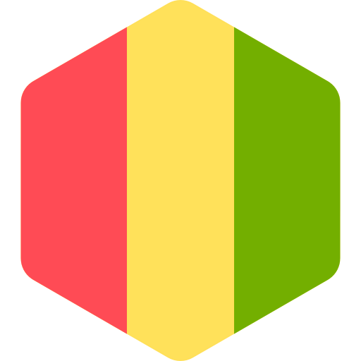 Guinea icon