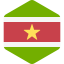 Suriname icon 64x64