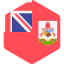 Bermuda icon 64x64