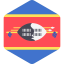 Swaziland icon 64x64